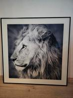 Mooie schilderij, Antiek en Kunst, Ophalen