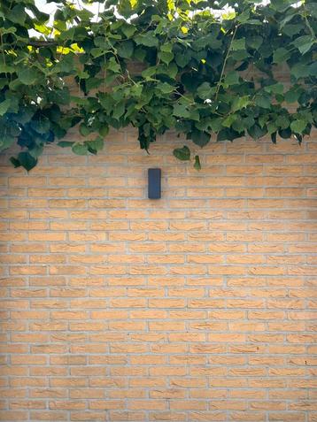 dimbare LED wandlamp - Up & Down light - IP65 ex GU10 beschikbaar voor biedingen