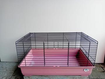 Cavia kooi beschikbaar voor biedingen