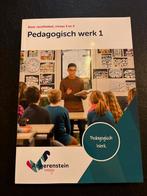Pedagogisch Werk 1 - Angerenstein Welzijn, Boeken, Schoolboeken, Ophalen of Verzenden, Zo goed als nieuw, Overige niveaus, Overige vakken