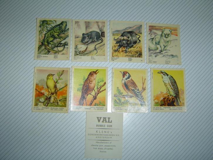 Diverse klene kauwgom plaatjes vanaf €2,- pst speldjes vanaf, Verzamelen, Overige Verzamelen, Gebruikt, Ophalen