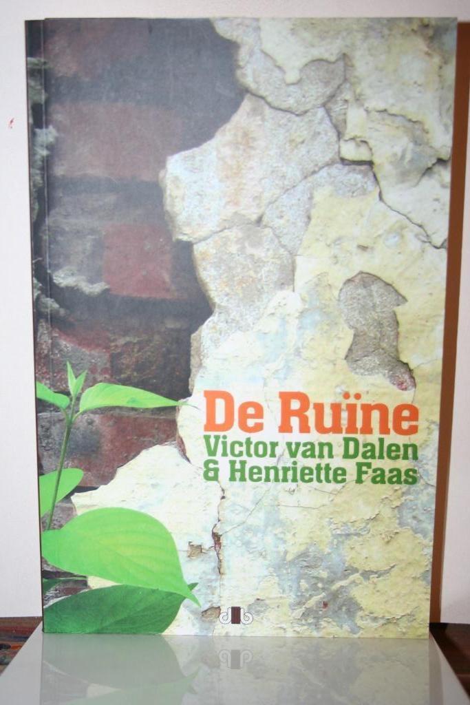 H. Faas - De ruïne, Boeken, Psychologie, Nieuw, Ontwikkelingspsychologie, Ophalen of Verzenden