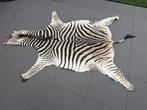 Zebra kleed, Gebruikt, Ophalen of Verzenden, 200 cm of meer, Rechthoekig