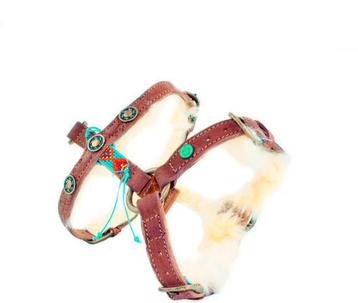 Gezocht Dwam tuigje maat S beschikbaar voor biedingen