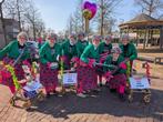 Carnaval Loopgroep 10 personen, Kleding | Dames, Carnavalskleding en Feestkleding, Ophalen, Zo goed als nieuw, Maat 38/40 (M)