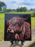 15x15 cm tegel Schotse Hooglander, Ophalen of Verzenden, Nieuw