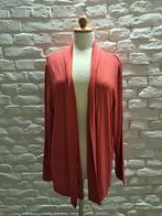 Mooi vest yest maat 44, Verzenden, Maat 42/44 (L), Zo goed als nieuw, Yest