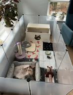 Kittenren 12 panelen, Ophalen, Gebruikt