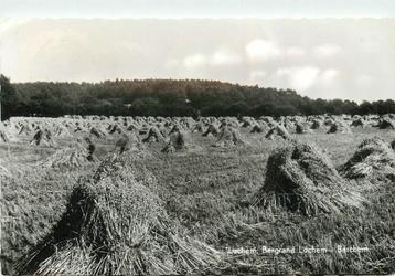 (387-189-009) Lochem Bergrand beschikbaar voor biedingen