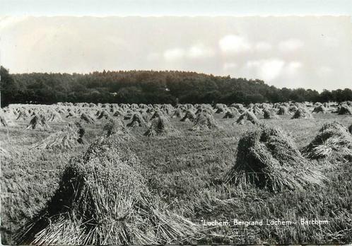 (387-189-009) Lochem Bergrand, Verzamelen, Ansichtkaarten | Nederland, Gelderland, Verzenden