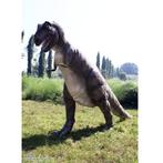 T-REX 14 meter lang - levensgrote Tyrannosaurus rex beeld, Ophalen, Nieuw