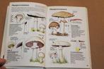 Paddestoelen. Natuurwijzer. 200 afb. in kleur., Boeken, Ophalen of Verzenden, Gelezen, Bloemen, Planten en Bomen
