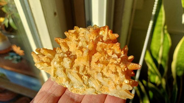 D52-02 Kwartspunten Madan Bulgarije #verzameling#collectie, Verzamelen, Mineralen en Fossielen, Mineraal, Ophalen of Verzenden