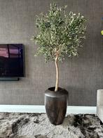 Pot & Vaas olijfboom met plantenpot kunstboom, Ophalen, Zo goed als nieuw, Binnen