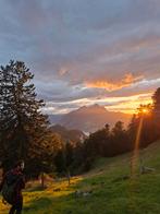 Nieuwe plek gezocht voor 2 paarden, Dieren en Toebehoren, Stalling en Weidegang