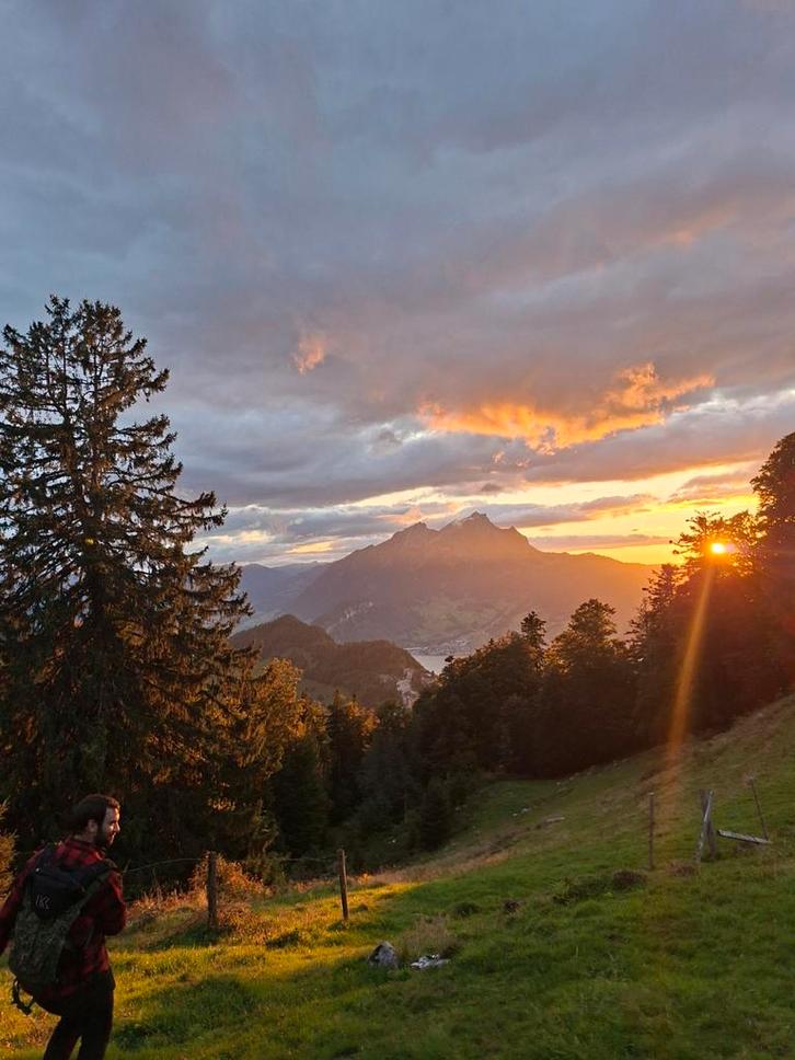 Nieuwe plek gezocht voor 2 paarden, Dieren en Toebehoren, Stalling en Weidegang