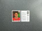 Panini sticker Cristiano Ronaldo WK 2010, Ophalen of Verzenden, Zo goed als nieuw, Poster, Plaatje of Sticker