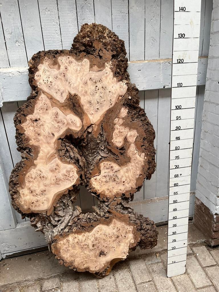 massief plaathout boomstamplanken unieke boom schalen, Ophalen, Nieuw