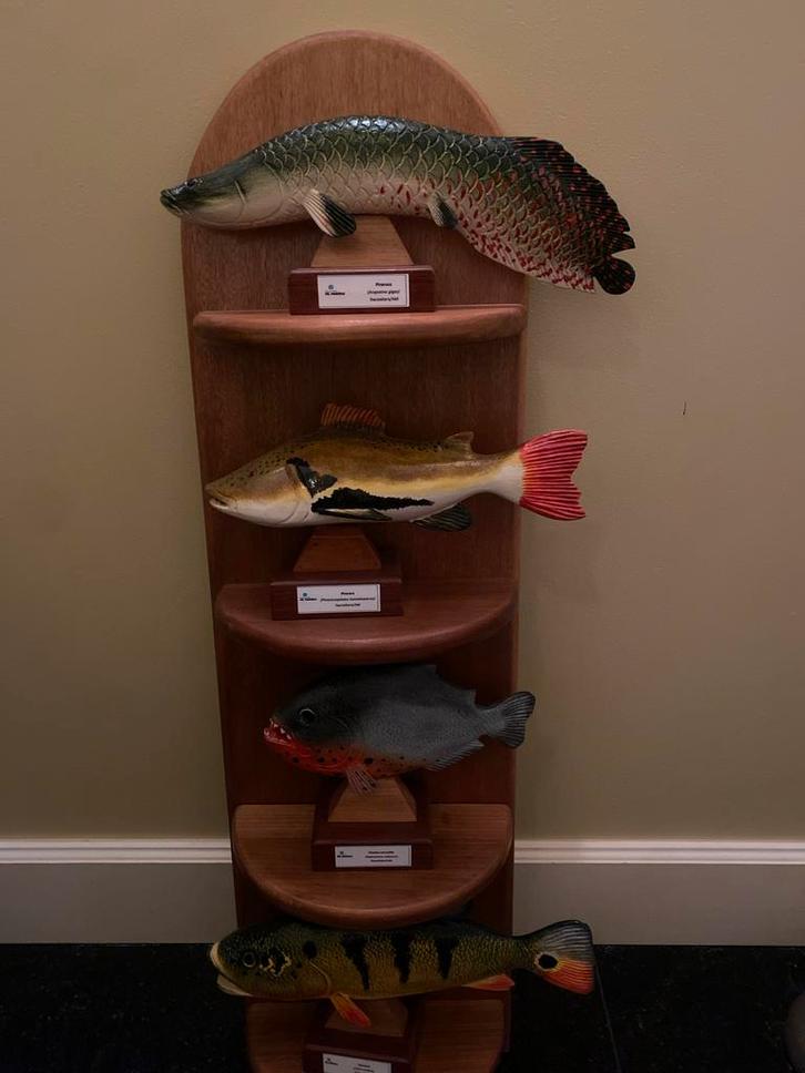 Houten Vissen uit Brazilië met Rek - ZGAN, Antiek en Kunst, Kunst | Beelden en Houtsnijwerken, Ophalen of Verzenden