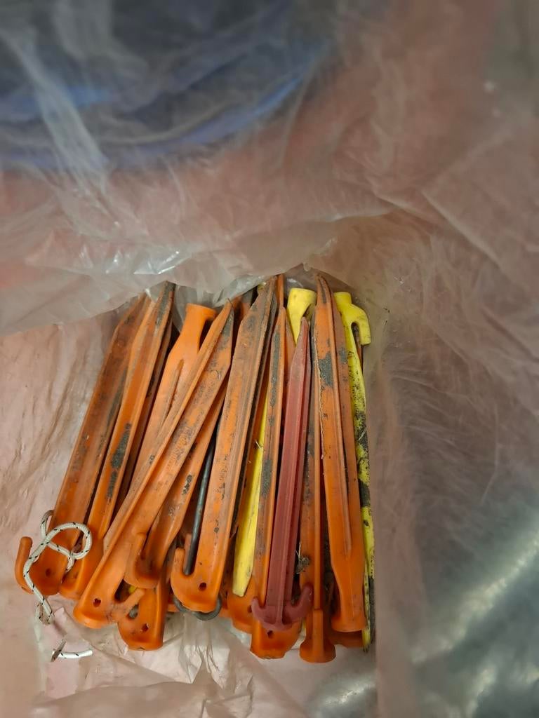 25 stuks haringen, Ophalen of Verzenden