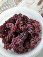 Alles om eigen wijn te maken, Ophalen