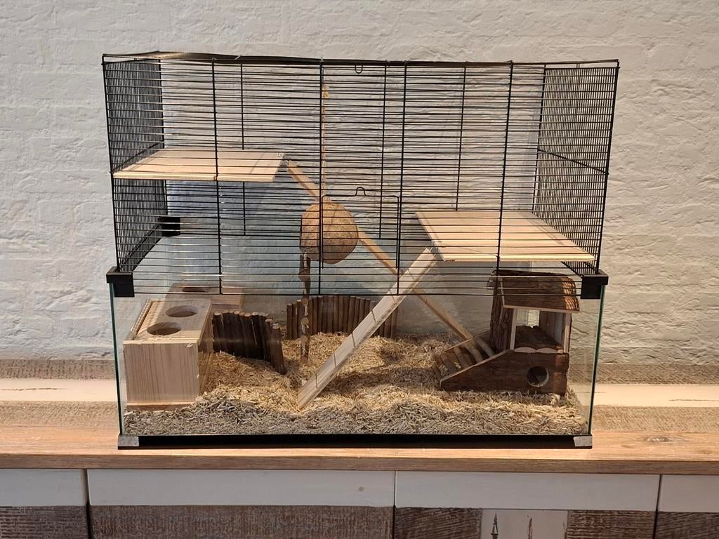 Hamsterkooi met glazen bak, Dieren en Toebehoren, Knaagdieren en Konijnen | Hokken en Kooien, Ophalen