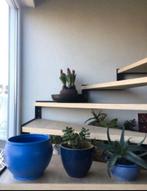 vintage blauwe geglazuurde bloempotten diverse jaren ‘50 pot, 25 tot 40 cm, Rond, Binnen, Ophalen of Verzenden