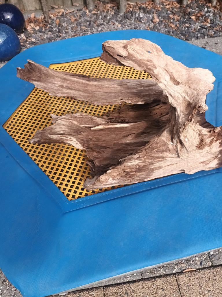 Groot stuk aquarium hout, Dieren en Toebehoren, Ophalen of Verzenden, Plant(en), Steen of Hout