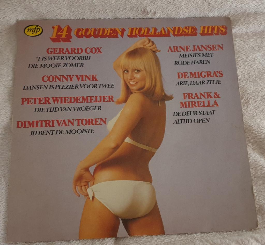 17 x Nederlandstalige lp's. zie foto's, Ophalen of Verzenden, Gebruikt, 12 inch, Levenslied of Smartlap