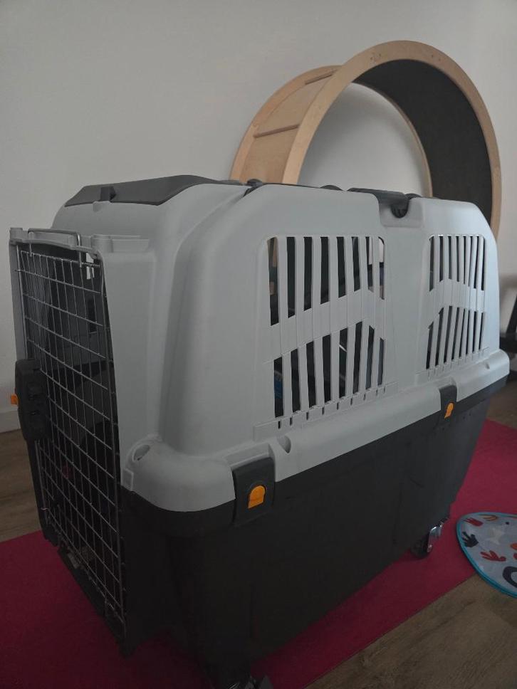 Skudo 5 IATA transportbox as new. Pet Transport Crate, Dieren en Toebehoren, Transportboxen, Zo goed als nieuw, Ophalen