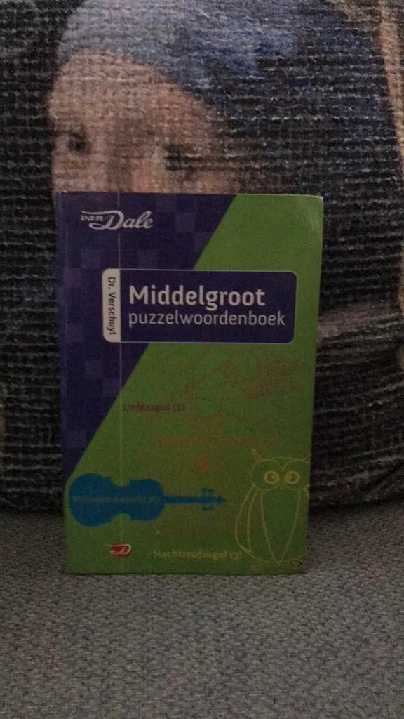 Verschuyl - Middelgroot puzzelwoordenboek, Boeken, Ophalen of Verzenden, Zo goed als nieuw, Tekenen en Schilderen, Verschuyl