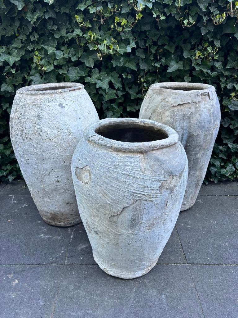 Oude potten antieke Pot olijfboom, Ophalen