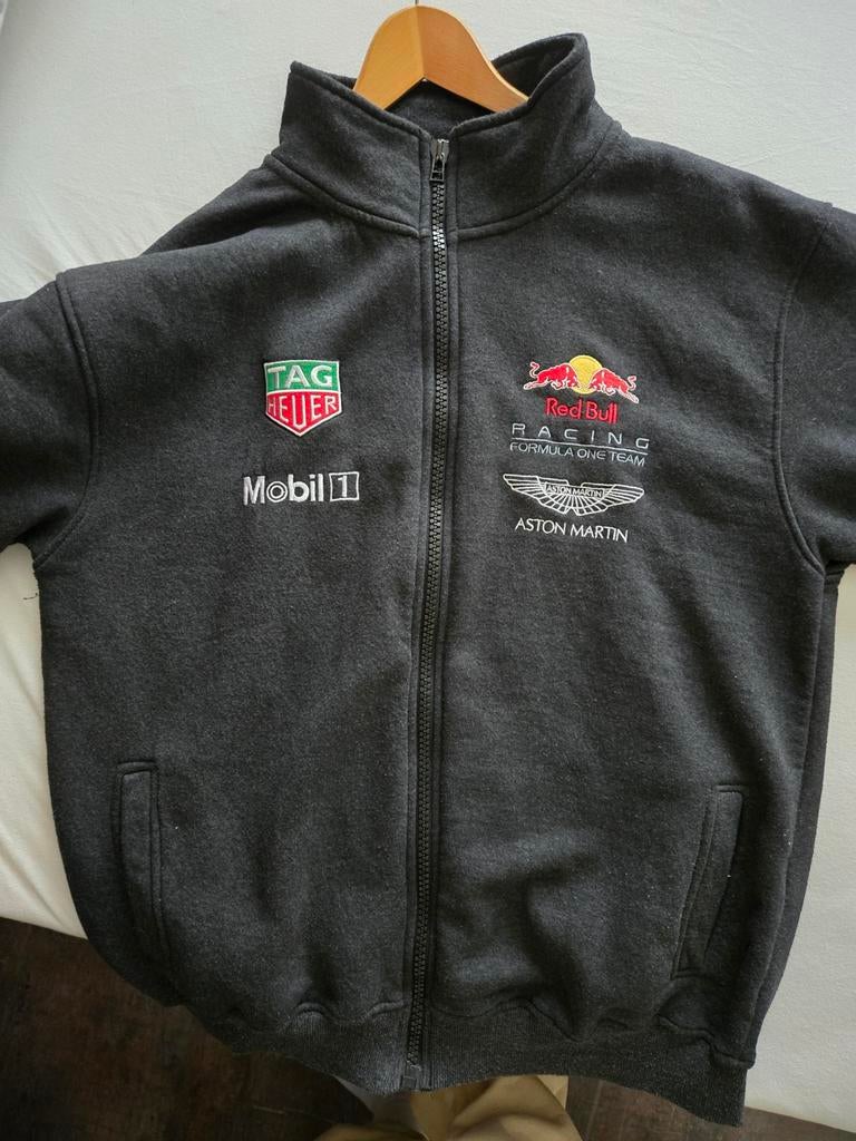 Red Bull Racing Jas - Gedragen, Maat 52/54 (L), Zwart, Ophalen of Verzenden, Gedragen