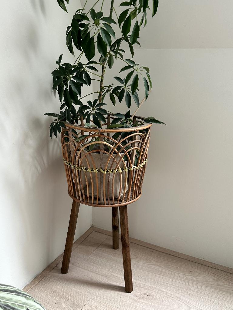 Plantenbak op voet/poten, Tuin en Terras, Bloembakken en Plantenbakken, Ophalen, Overige materialen, Rond, Zo goed als nieuw