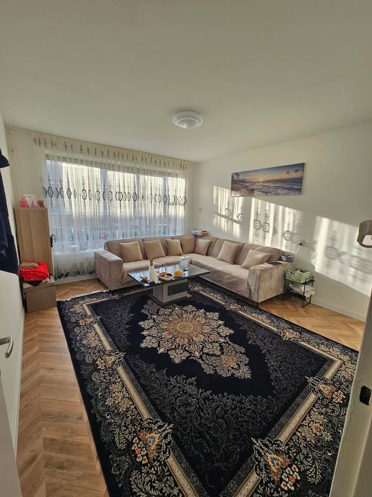 2 stuk Perzisch tapijt 350m/250m, Ophalen