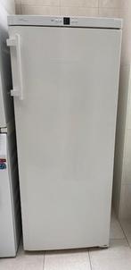 Aangeboden Liebherr vriezer met 6 laden, Gebruikt, Minder dan 60 cm, 140 tot 160 cm, Vrijstaand