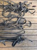 paard hoofdstellen, lederen halsters en verdere toebehoren, Ophalen, Gebruikt, Dressuur