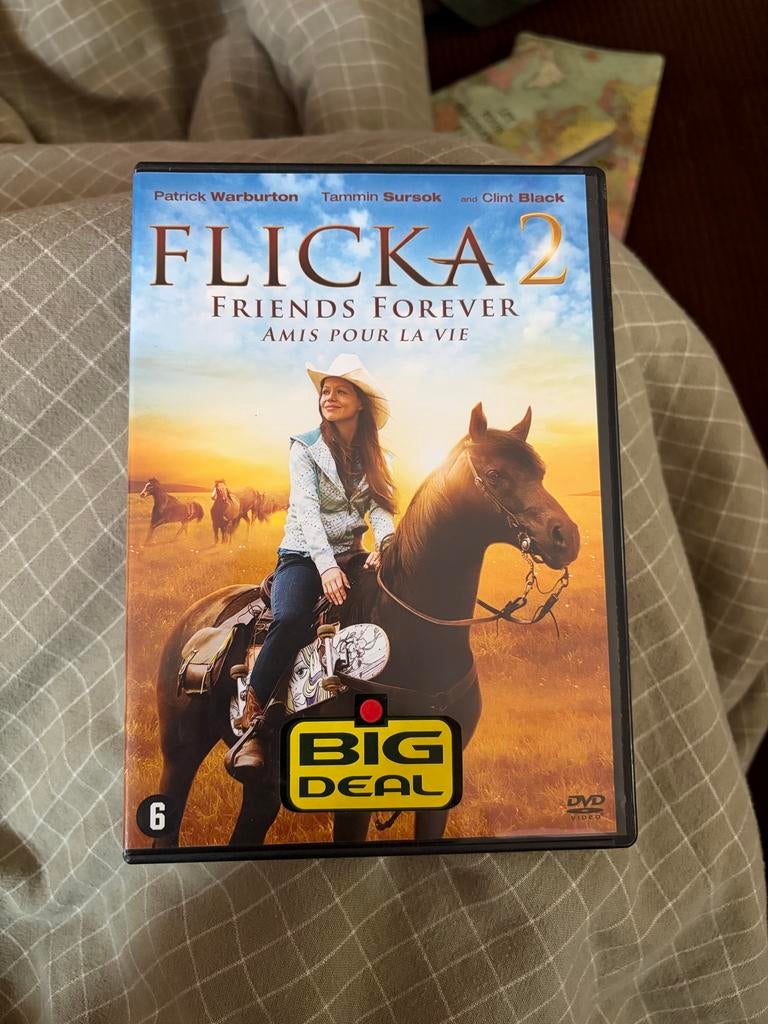 DVD Flicka 2: Friends Forever - Paardenfilm 6+, Vanaf 6 jaar, Ophalen of Verzenden, Gebruikt, Drama