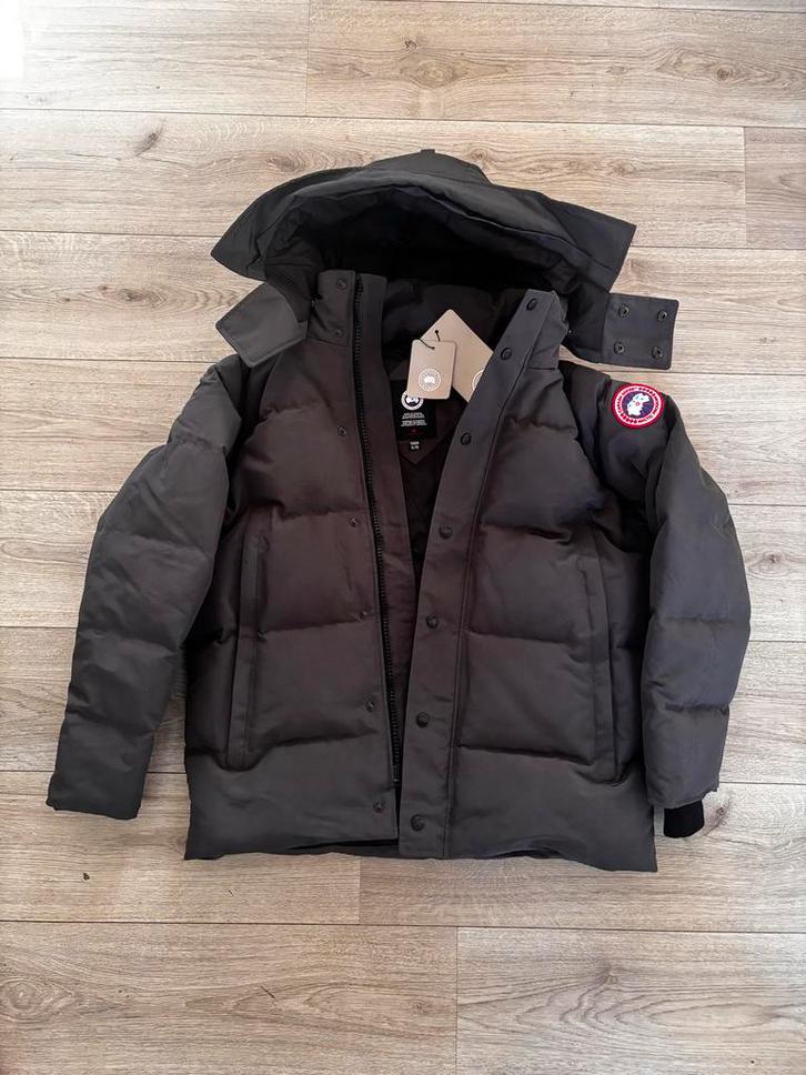 Canada Goose Wyndham Parka - Maat XL - Nieuw!, Kleding | Heren, Jassen | Winter, Nieuw, Maat 56/58 (XL), Grijs, Ophalen