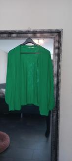 Te koop diverse kleding, Kleding | Dames, Grote Maten, Ophalen of Verzenden, Zo goed als nieuw, Jurk