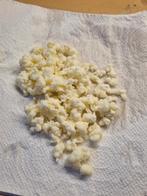 Melk kefir korrels 80 gram, Ophalen