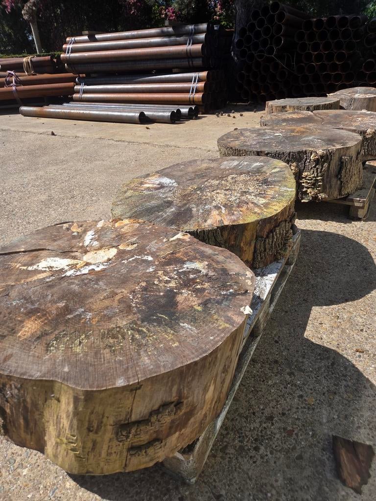 Grote stammen hout voor diverse projecten, Tuin en Terras, Haardhout, Ophalen