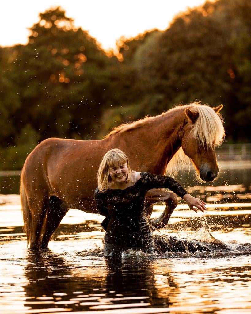 Paard/pony gezocht, forever home op paddock paradise geboden, Dieren en Toebehoren, Pony's, Meerdere dieren