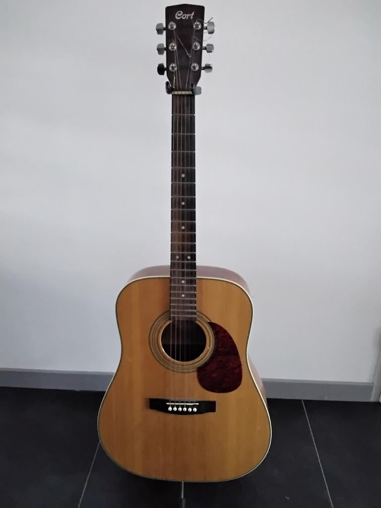 Western gitaar, Ophalen, Western- of Steelstringgitaar