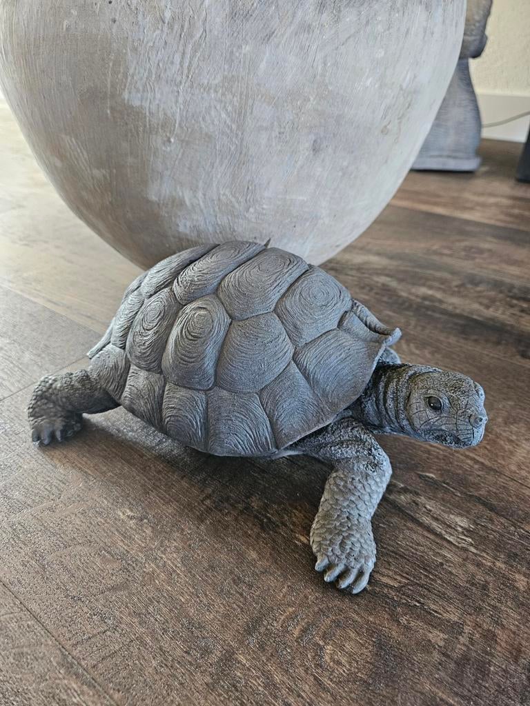 Polystone schildpad, Ophalen, Kunststof