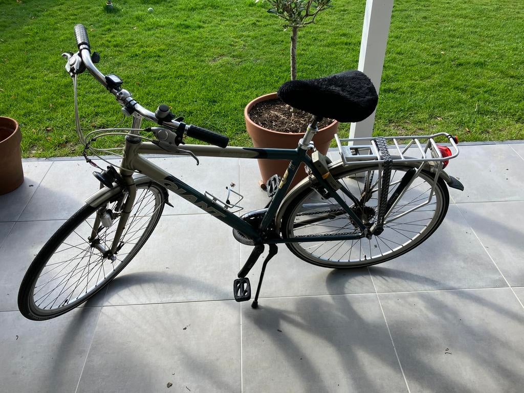 Giant Escaper toerfiets, Fietsen en Brommers, Fietsen | Heren | Herenfietsen, Ophalen, Gebruikt, Versnellingen, Giant