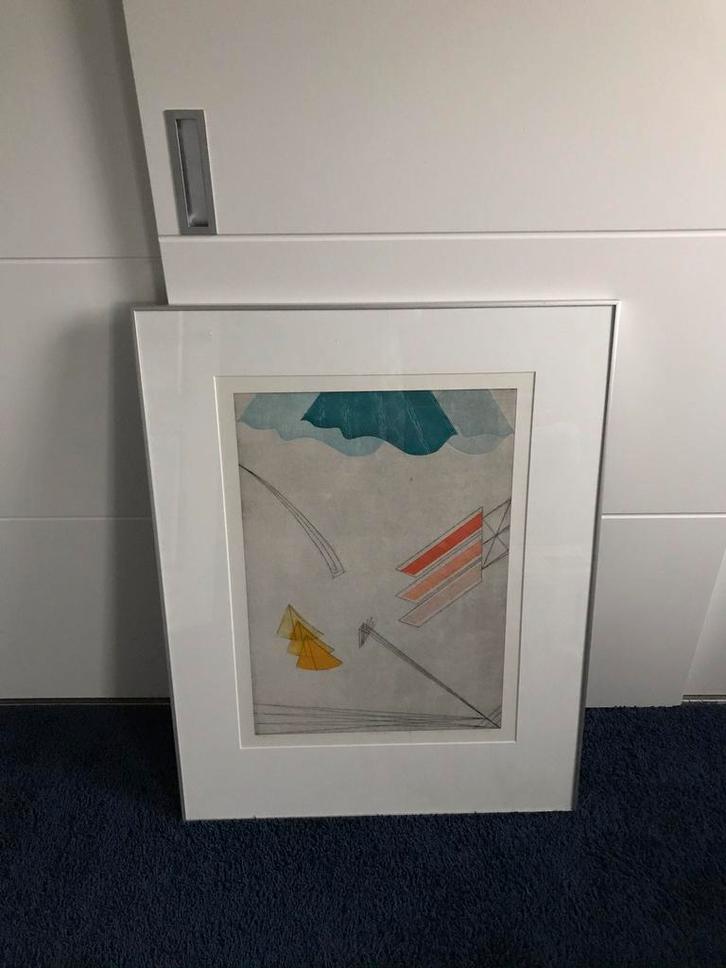 Kleurenets van Ed Riensema Movability, Antiek en Kunst, Kunst | Etsen en Gravures, Ophalen of Verzenden