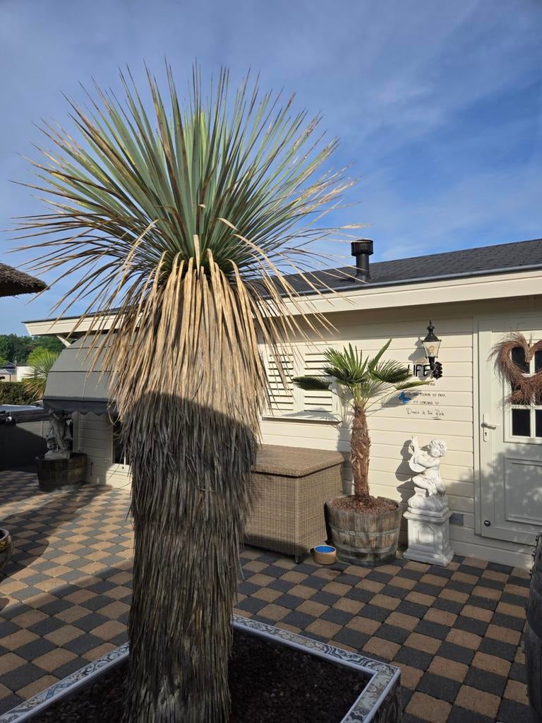 Chalet Briljant Keraliet/Huurgrond/365dgn per jaar recreëren