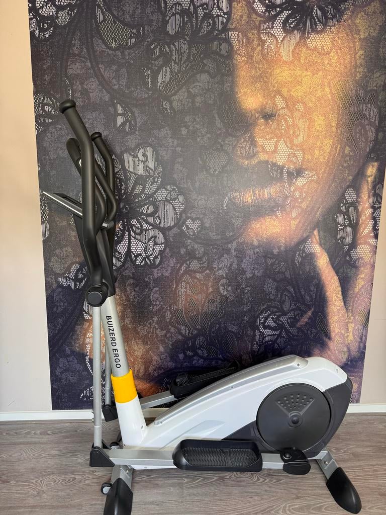 Crosstrainer Buizerd Ergo - Speijk, Sport en Fitness, Ophalen, Gebruikt, Armen, Crosstrainer