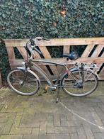 Batavus Padova Easy Royal Elektrische Herenfiets, Gebruikt, Batavus, Ophalen of Verzenden, 51 tot 55 cm